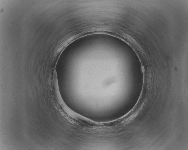 X0000065240985200603031734