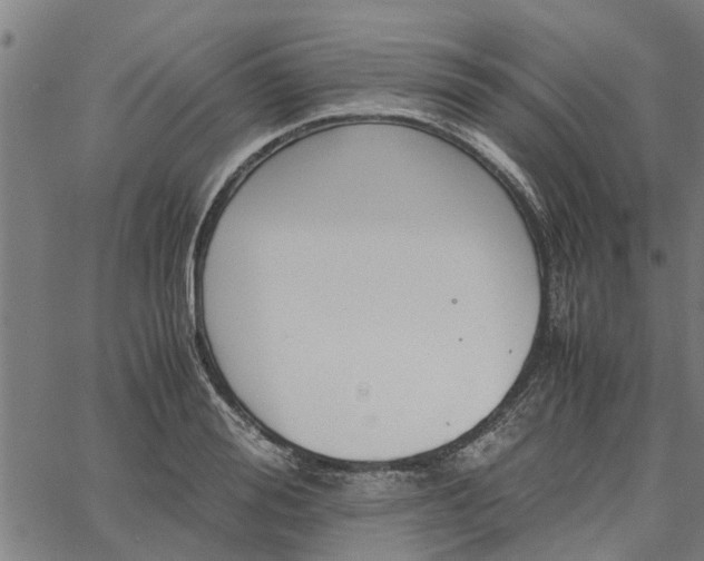 X0000065240988200603031734