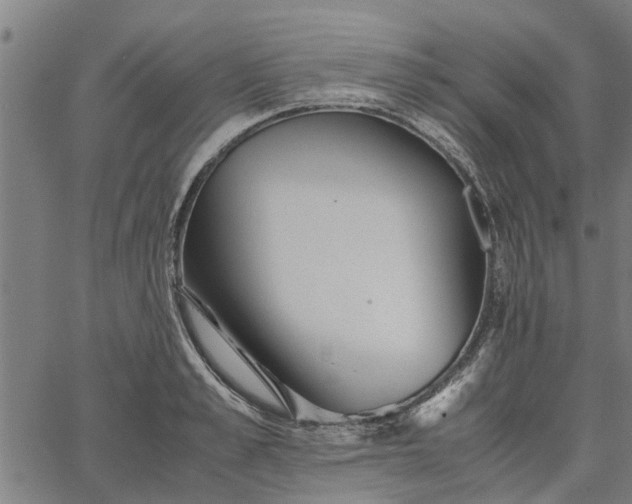 X0000065240989200603031734