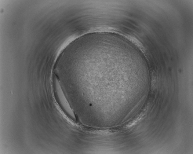 X0000065240990200603031734