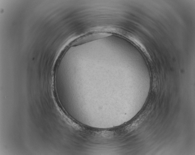 X0000065240992200603031734