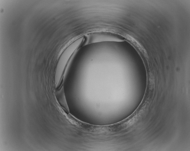 X0000065240993200603031734