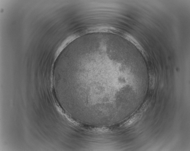 X0000065240994200603031734