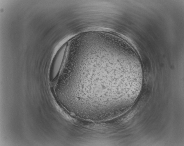 X0000065240995200603031734