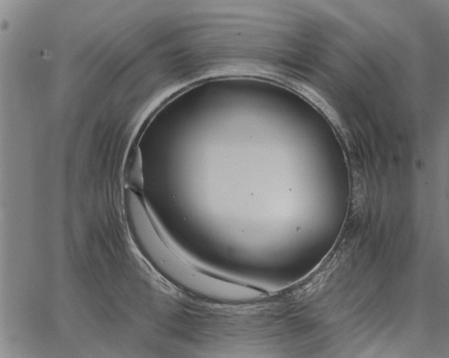 X0000065240996200603031734