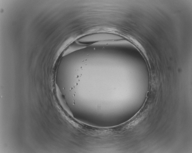 X0000065240997200603031734