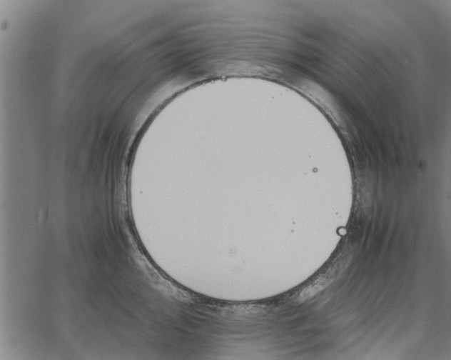 X0000065241000200603031734