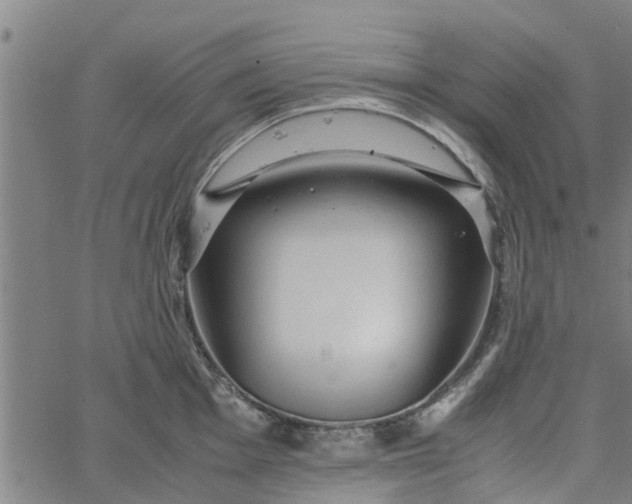 X0000065241001200603031734