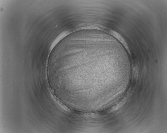 X0000065241002200603031734