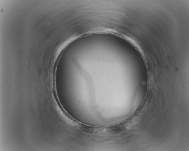 X0000065241003200603031734