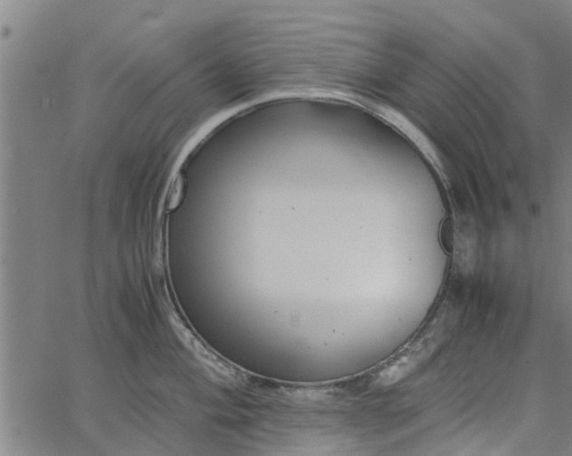 X0000065241004200603031734