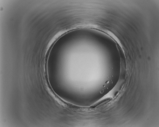 X0000065241005200603031734