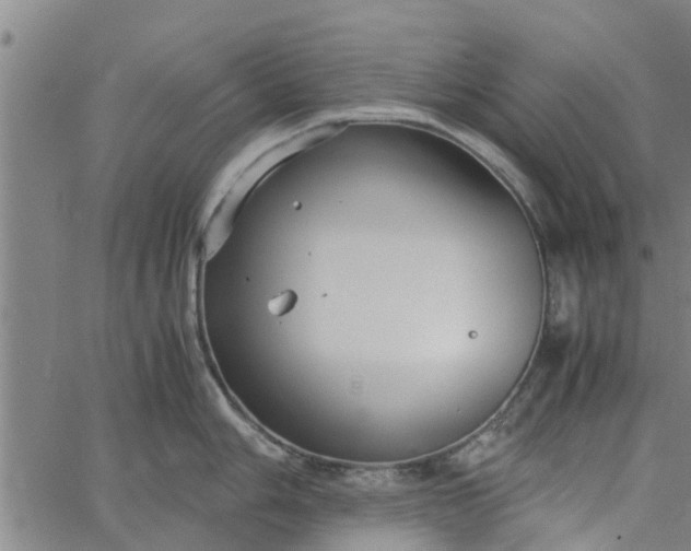 X0000065241006200603031734