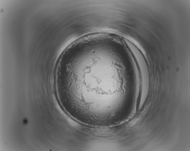 X0000065241007200603031734