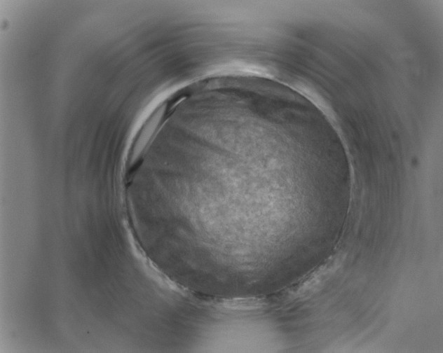 X0000065241008200603031734