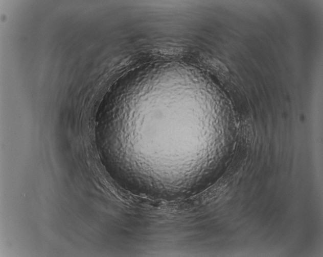 X0000065241009200603031733