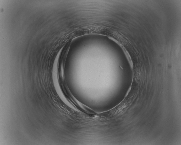 X0000065241010200603031733