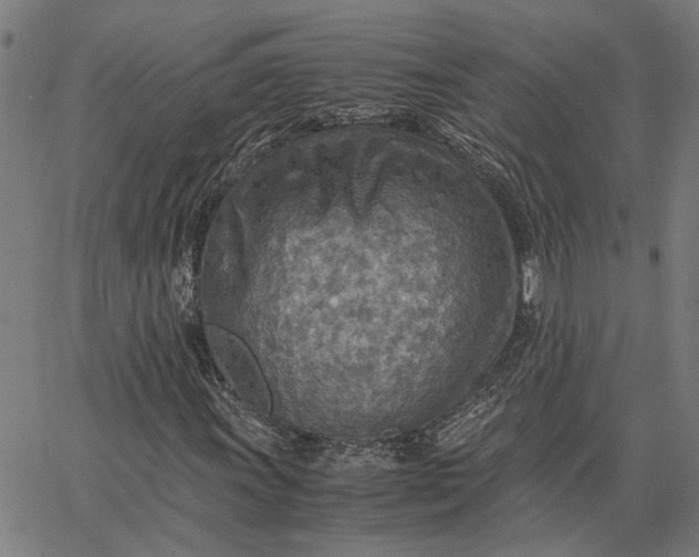 X0000065241011200603031733