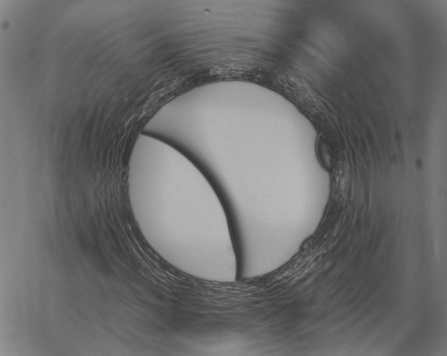 X0000065241012200603031733