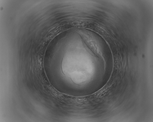 X0000065241013200603031733