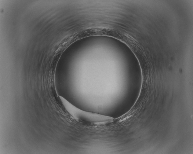 X0000065241014200603031733