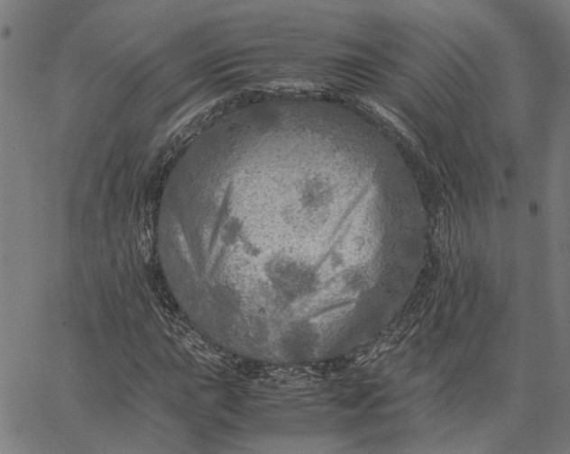 X0000065241015200603031733