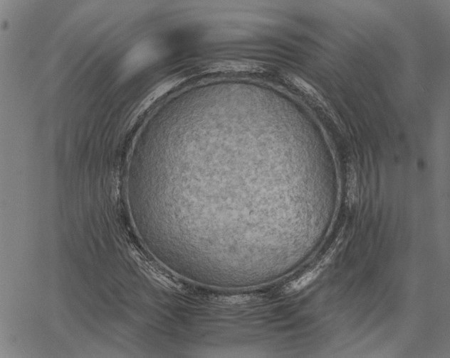 X0000065241017200603031733