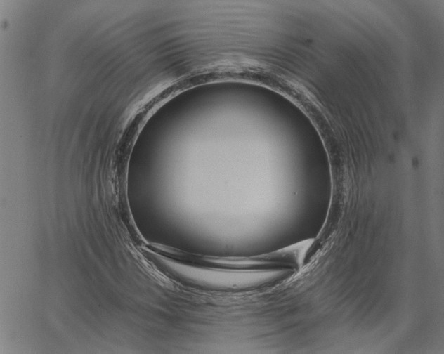 X0000065241018200603031733