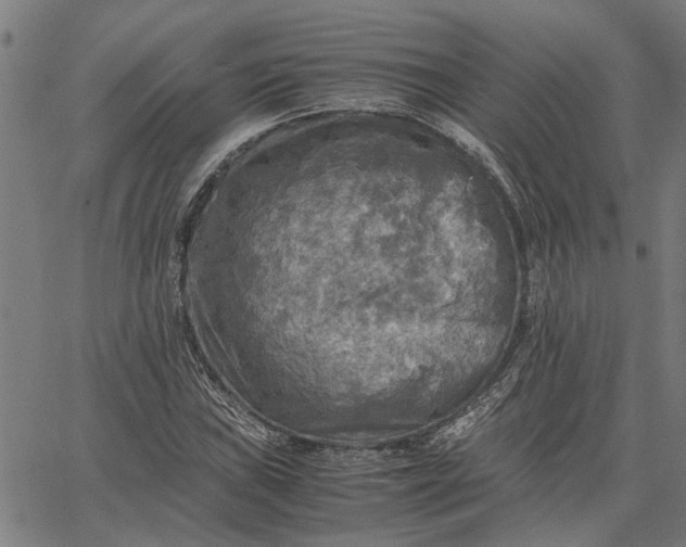 X0000065241019200603031733