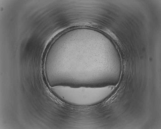 X0000065241020200603031733