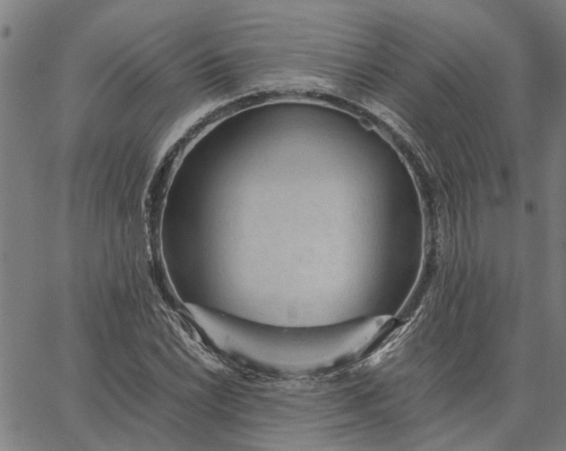 X0000065241022200603031733