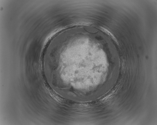 X0000065241027200603031733