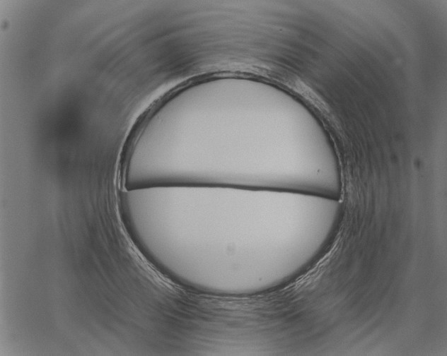 X0000065241028200603031733