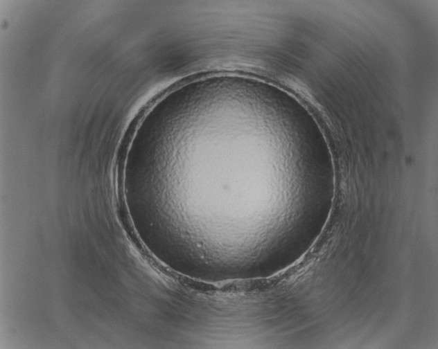 X0000065241032200603031733