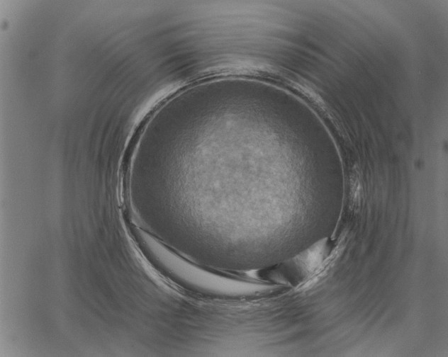 X0000065241034200603031733