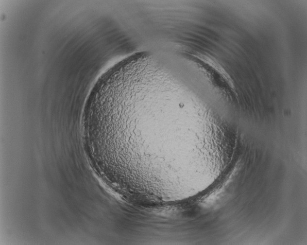 X0000065241037200603031733