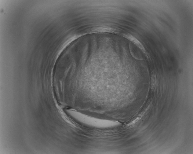 X0000065241039200603031733