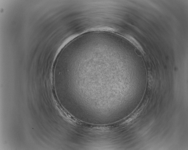 X0000065241044200603031733