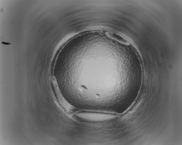 X0000065241045200603031733