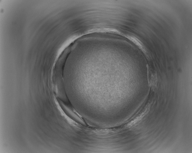 X0000065241046200603031733