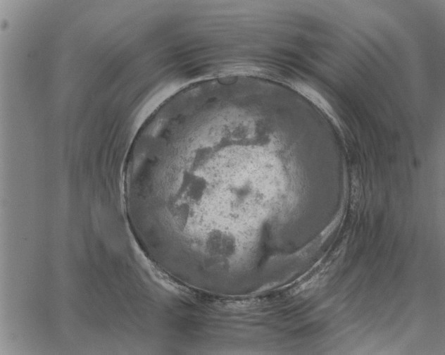 X0000065241047200603031733