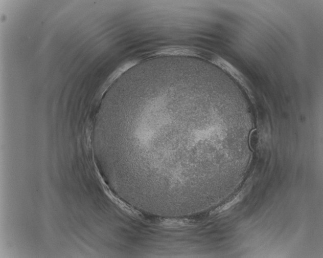 X0000065241049200603031733