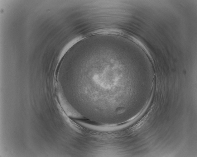 X0000065241050200603031733