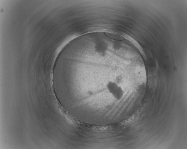 X0000065241051200603031733