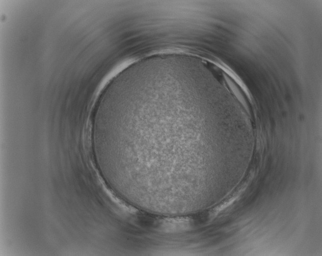 X0000065241053200603031733