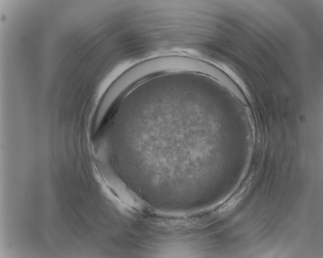 X0000065241054200603031733