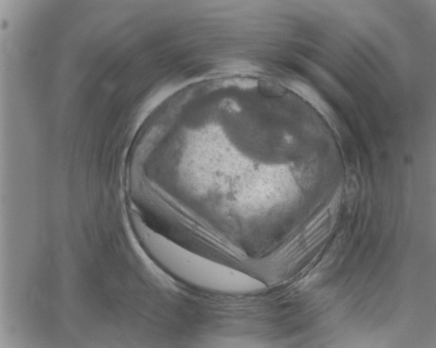 X0000065241055200603031733