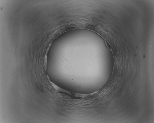 X0000065241057200603031733