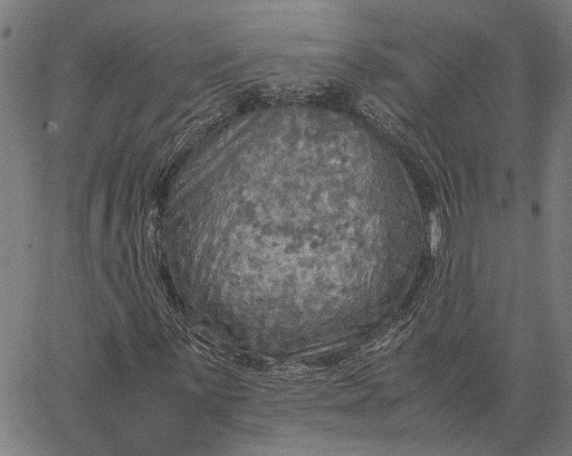 X0000065241059200603031733