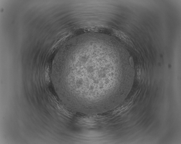 X0000065241060200603031733